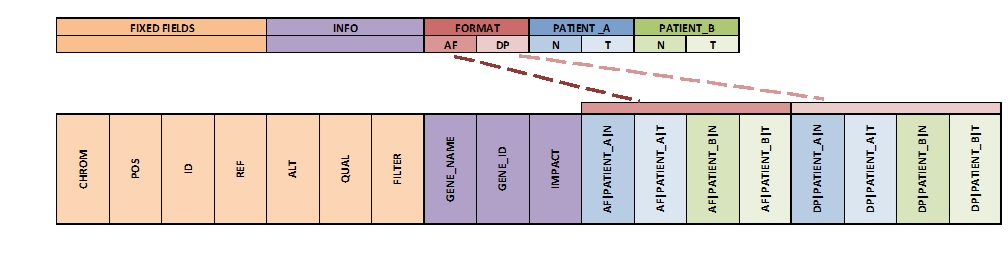 _images/expand_columns.jpg