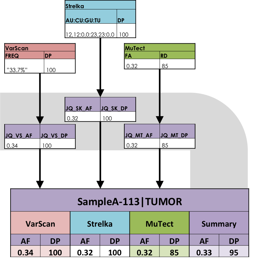 _images/translate_vcf_dialects.png